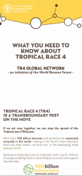 Información imprescindible sobre la Raza tropical (R4T)
